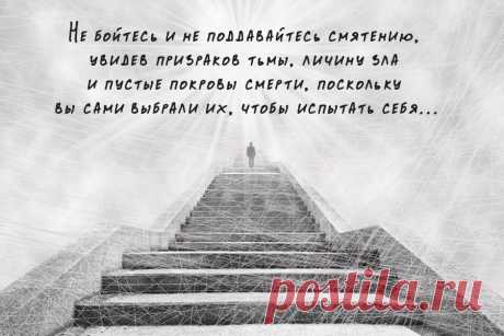 Не бойтесь и не поддавайтесь смятению, увидев призраков тьмы, личину зла и пустые покровы смерти, поскольку вы сами выбрали их, чтобы испытать себя.