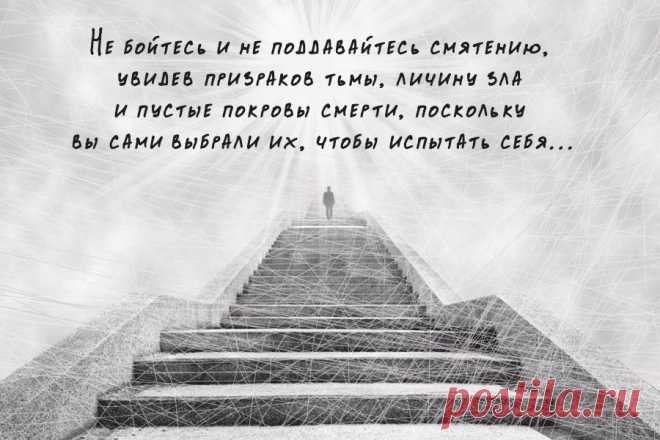 Не бойтесь и не поддавайтесь смятению, увидев призраков тьмы, личину зла и пустые покровы смерти, поскольку вы сами выбрали их, чтобы испытать себя.