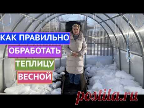 ОБРАБАТЫВАЕМ ТЕПЛИЦУ ВЕСНОЙ! ОСНОВНЫЕ ПРАВИЛА!