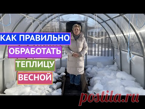 ОБРАБАТЫВАЕМ ТЕПЛИЦУ ВЕСНОЙ! ОСНОВНЫЕ ПРАВИЛА!