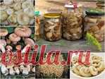 Универсальный маринад для большинства грибов