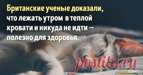 Доказано