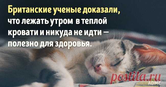 Доказано