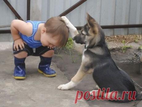 Мой Мир@Mail.Ru