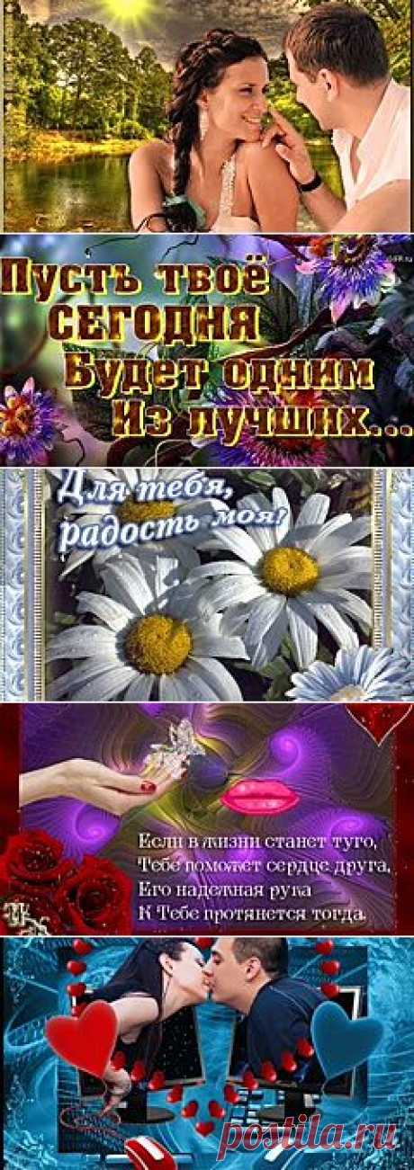 (1) Одноклассники