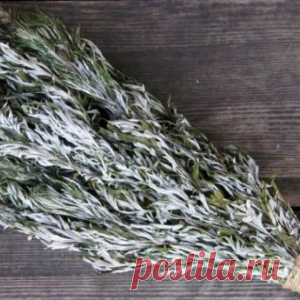 ПОЛЫНЬ — ЭТО СИЛЬНЕЙШЕЕ СРЕДСТВО ОТ ТЯЖЕЛЫХ БОЛЕЗНЕЙ