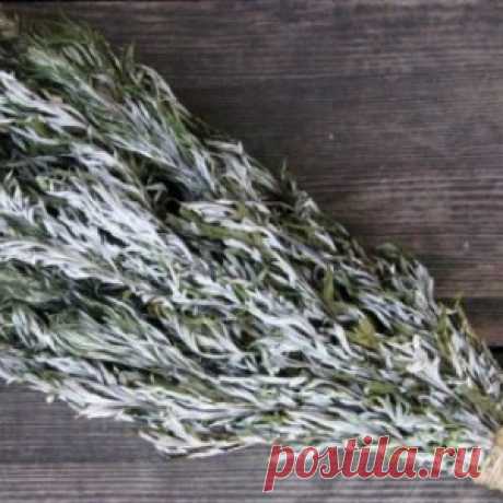 ПОЛЫНЬ — ЭТО СИЛЬНЕЙШЕЕ СРЕДСТВО ОТ ТЯЖЕЛЫХ БОЛЕЗНЕЙ