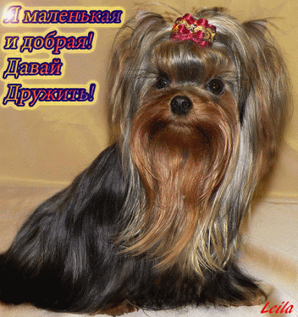 Вера Карелина – Google+
