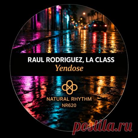 VIP - Raul Rodriguez, La Class - Yendose | DJ | SoundMasters | Service