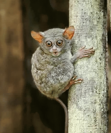 ЖИВЫЕ КАРТИНКИ. GIF. – Google+