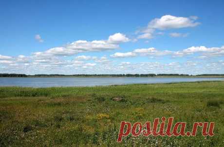 Зачем компас на рыбалке? - В огороде с Верой Водян
