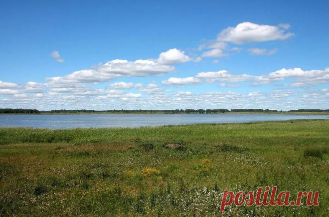Зачем компас на рыбалке? - В огороде с Верой Водян