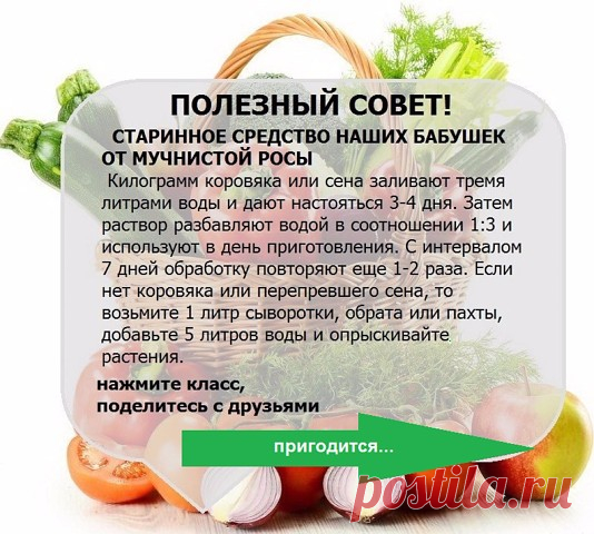 УЗЕЛОК НА ПАМЯТЬ. Огородникам