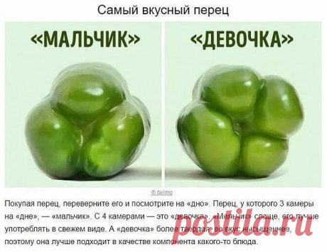 Мой Мир@Mail.Ru