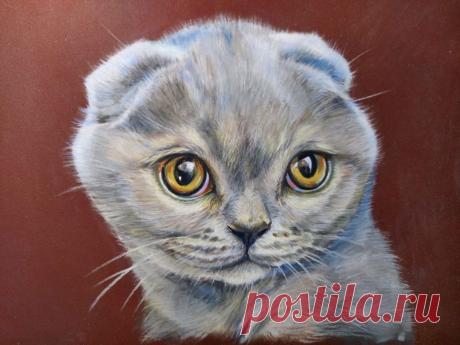 Тетяна Сікорська | Facebook