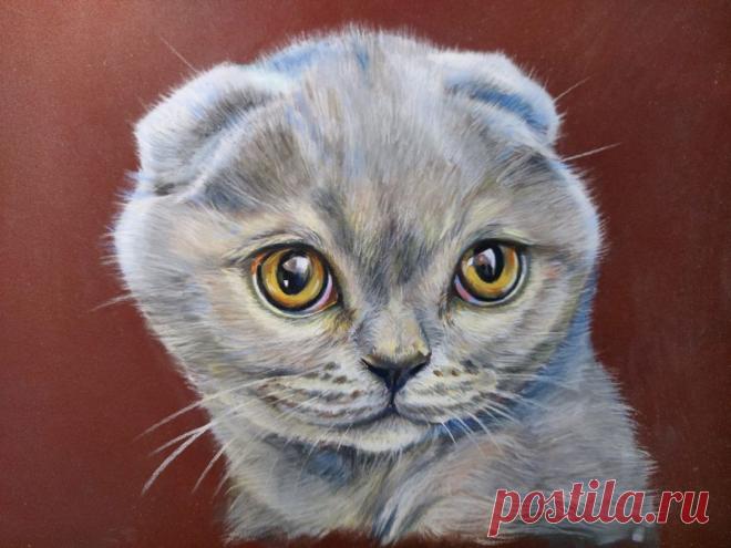 Тетяна Сікорська | Facebook