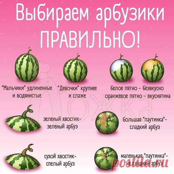 Пoлeзнo знaть