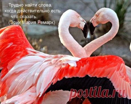 Картинки с надписями. Трудно найти слова, когда ....