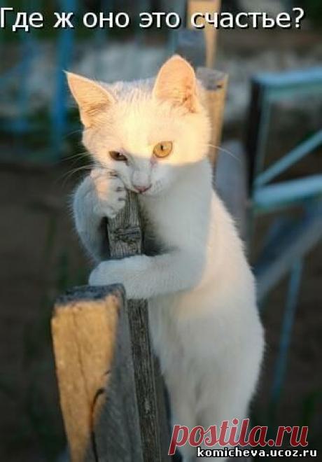 Сайт про меня и вязаные игрушки - Пятница