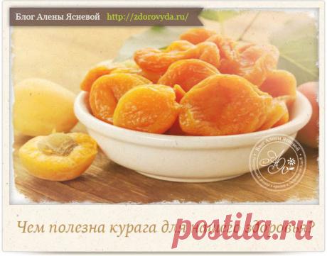 Чем полезна курага для нашего организма - секретные свойства