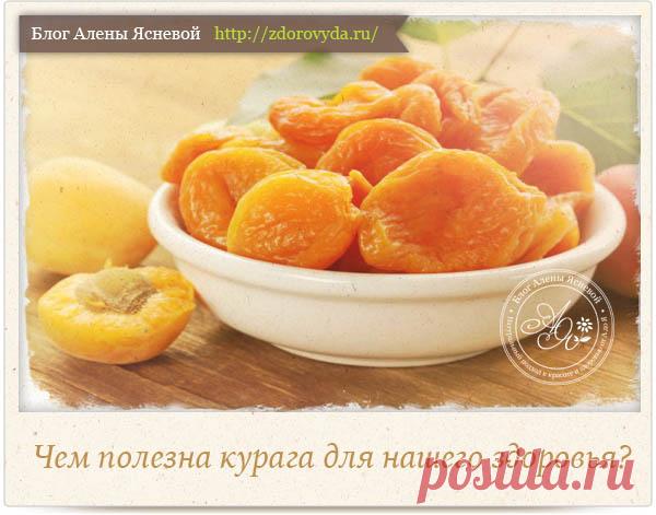 Чем полезна курага для нашего организма - секретные свойства