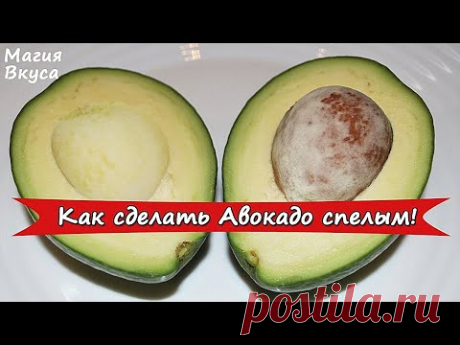 АВОКАДО! Способ быстрого дозревания дома. Ценность и польза авокадо!! | Кулинария