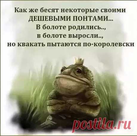С нами стыдно, зато весело!