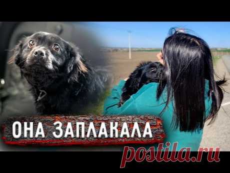 Её выбросили на трассу, она не ожидала, что среди равнодушно, проезжающих людей, кто то остановится.