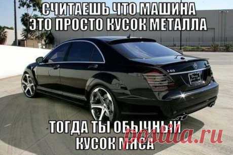 Катерина Швец