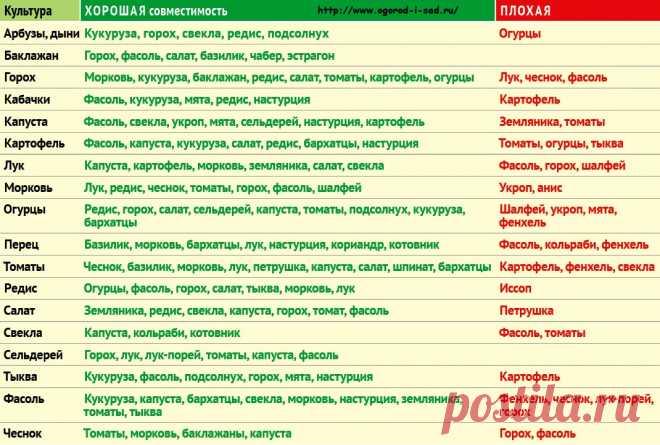 Совместимость посадок друг с другом