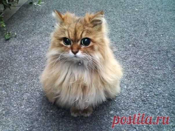 Главное - правильно выбрать ракурс