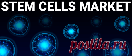 Stem Cells Market Size, Share &amp; Trends | Industry Report [2028]