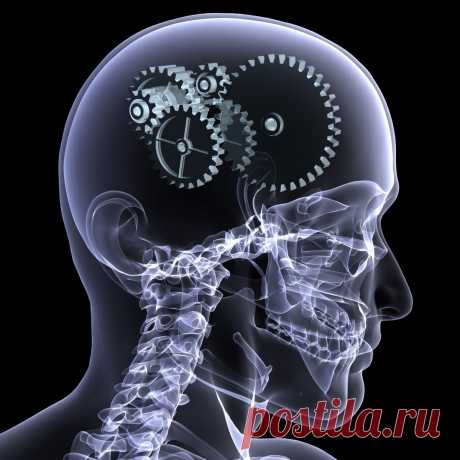 Как стимулировать работу мозга