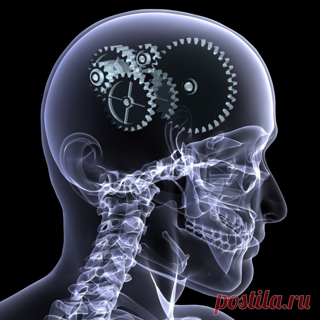 Как стимулировать работу мозга