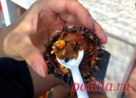 Морской еж: как есть и как приготовить