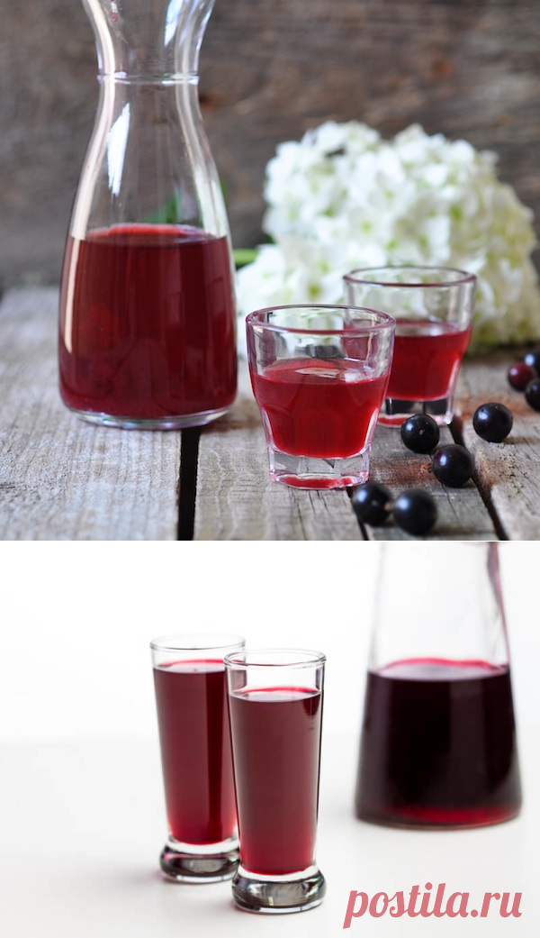 Как приготовить ликер из черной смородины