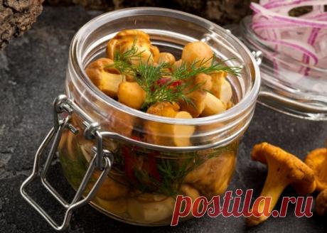 Маринованные лисички в масле