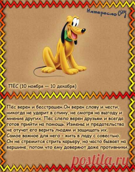 ИнтересноCity