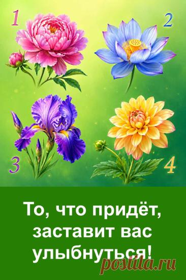 То, что приходит в жизнь неожиданно, иногда способно подарить самые искренние эмоции. Этот тест поможет заглянуть в будущее и почувствовать, откуда может прийти приятный повод для улыбки. Рассмотрите четыре цветка и прислушайтесь к своему внутреннему ощущению.