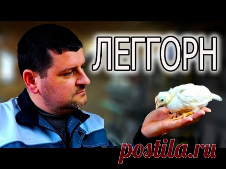 МЫ НЕ ОЖИДАЛИ, НО ВСЕ ПОЛУЧИЛОСЬ!!