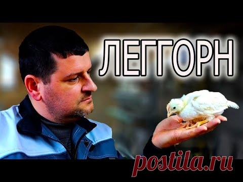 МЫ НЕ ОЖИДАЛИ, НО ВСЕ ПОЛУЧИЛОСЬ!!