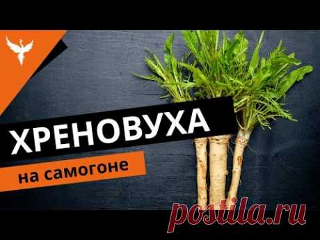 рДЖ 38: Все о хреновухе на самогоне. Полный разбор рецепта. 9 рекомендаций по приготовлению настойки