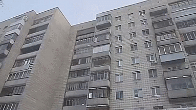 20 гифок о том, как устроено все на свете