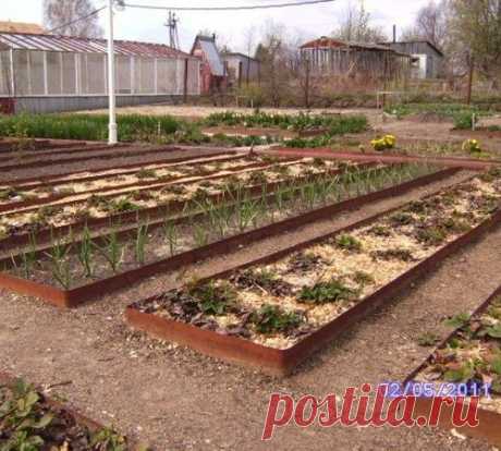 ОГРАЖДЕНИЯ ДЛЯ ГРЯДОК