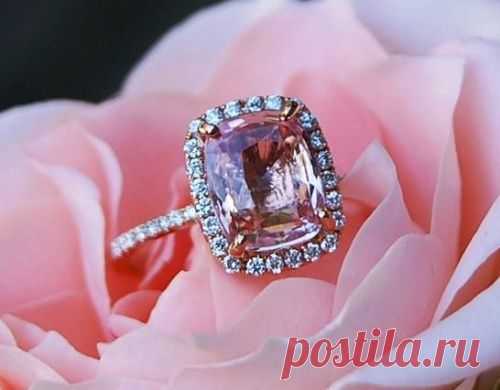 Джон Керри – Павлу Климкину ! письмо)))