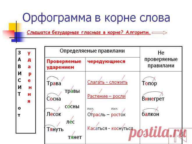 Орфограмма в корне слова - Презентация 21461-6