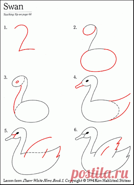 draw_swan | учимся рисовать