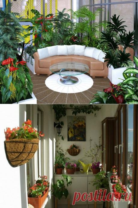 Зимний сад - это мечта.