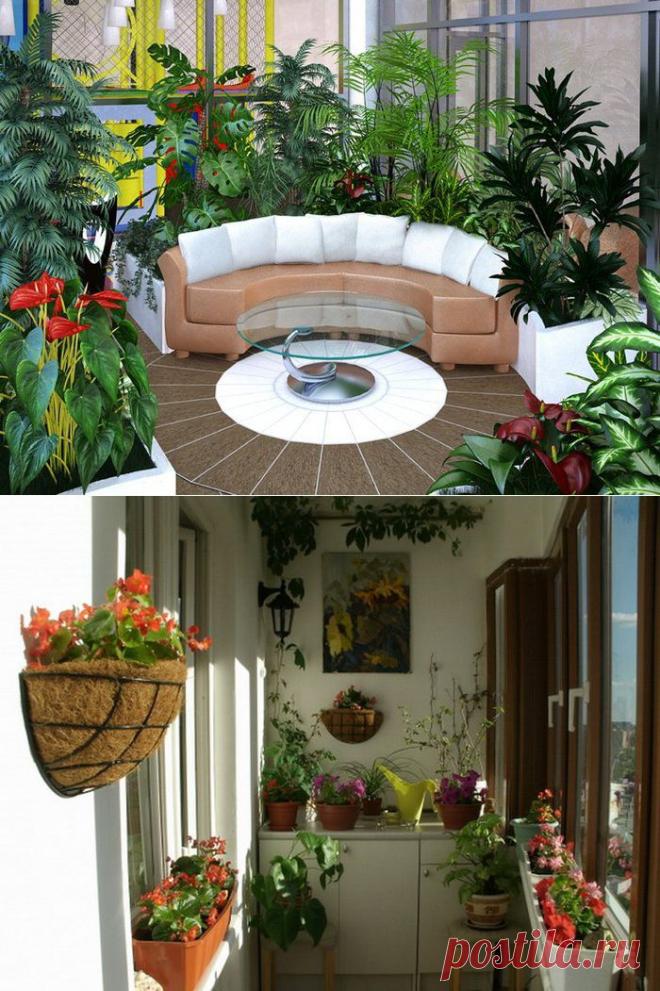 Зимний сад - это мечта.