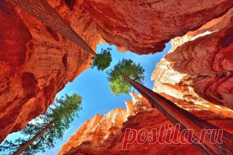 26 марта 2014 г.